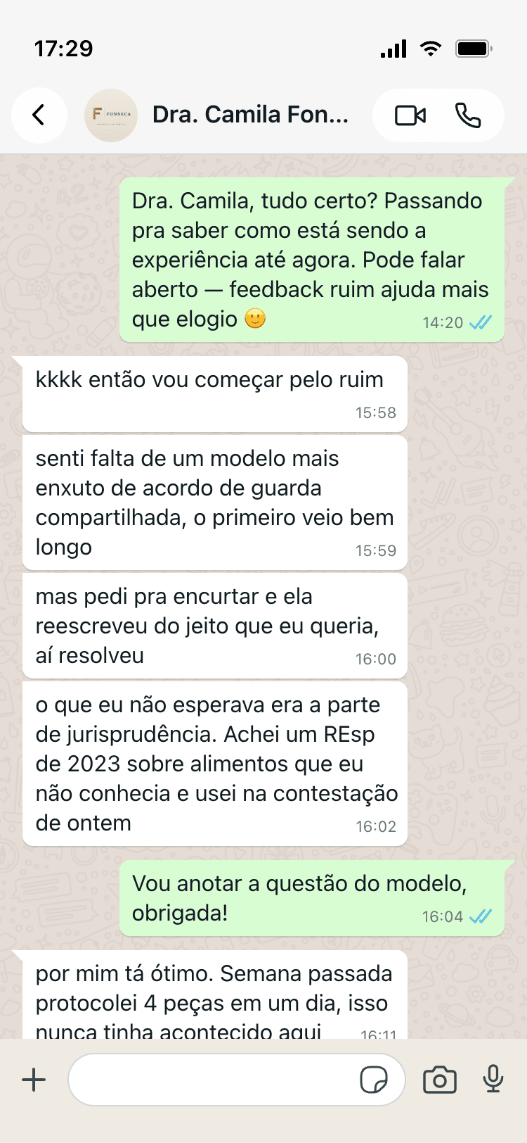 Conversa com a Dra. Camila Fonseca sobre acordos de guarda e jurisprudência